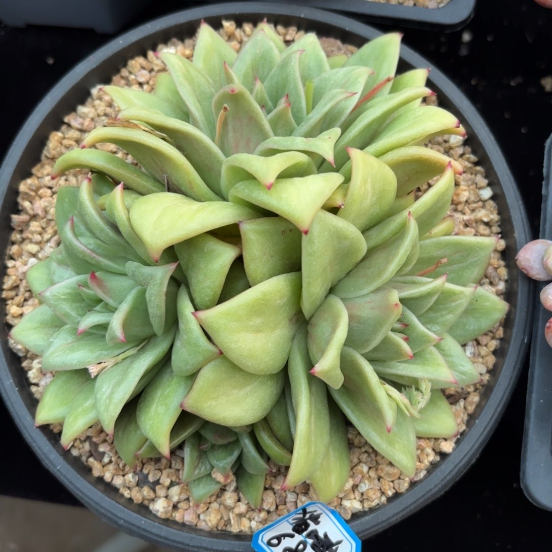 111111111111111111111