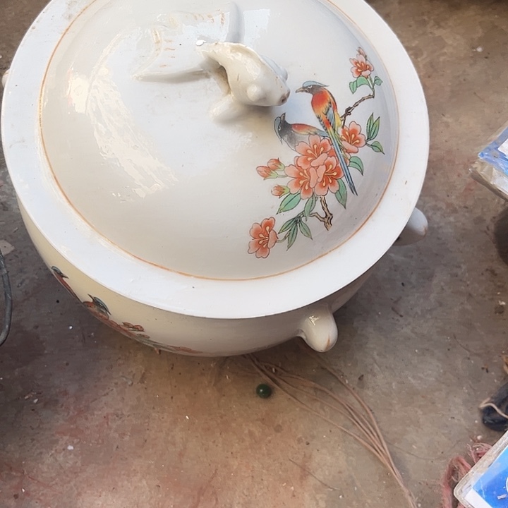 核桃木/黑胡桃（胡桃木）君**n