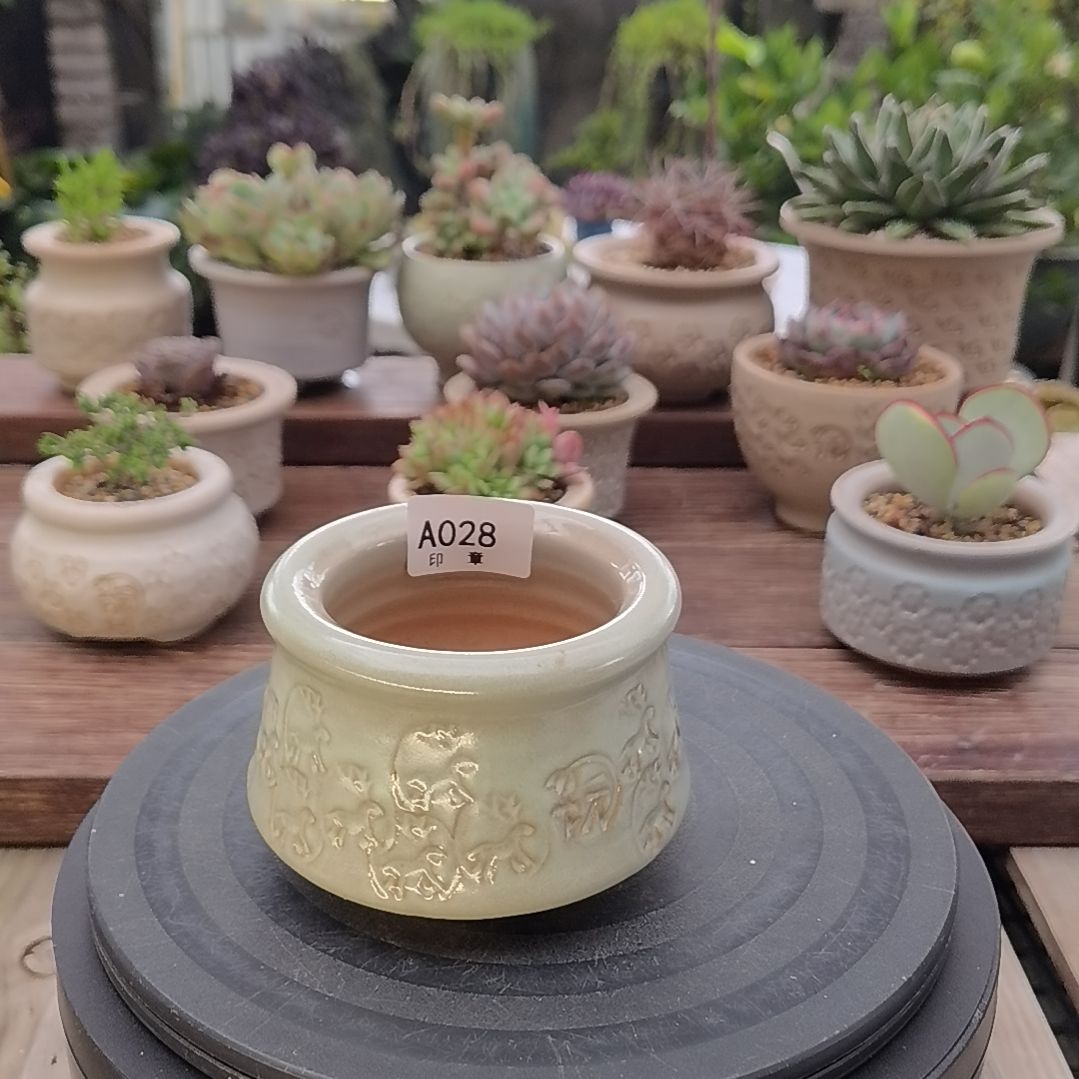 印章多肉花盆A028