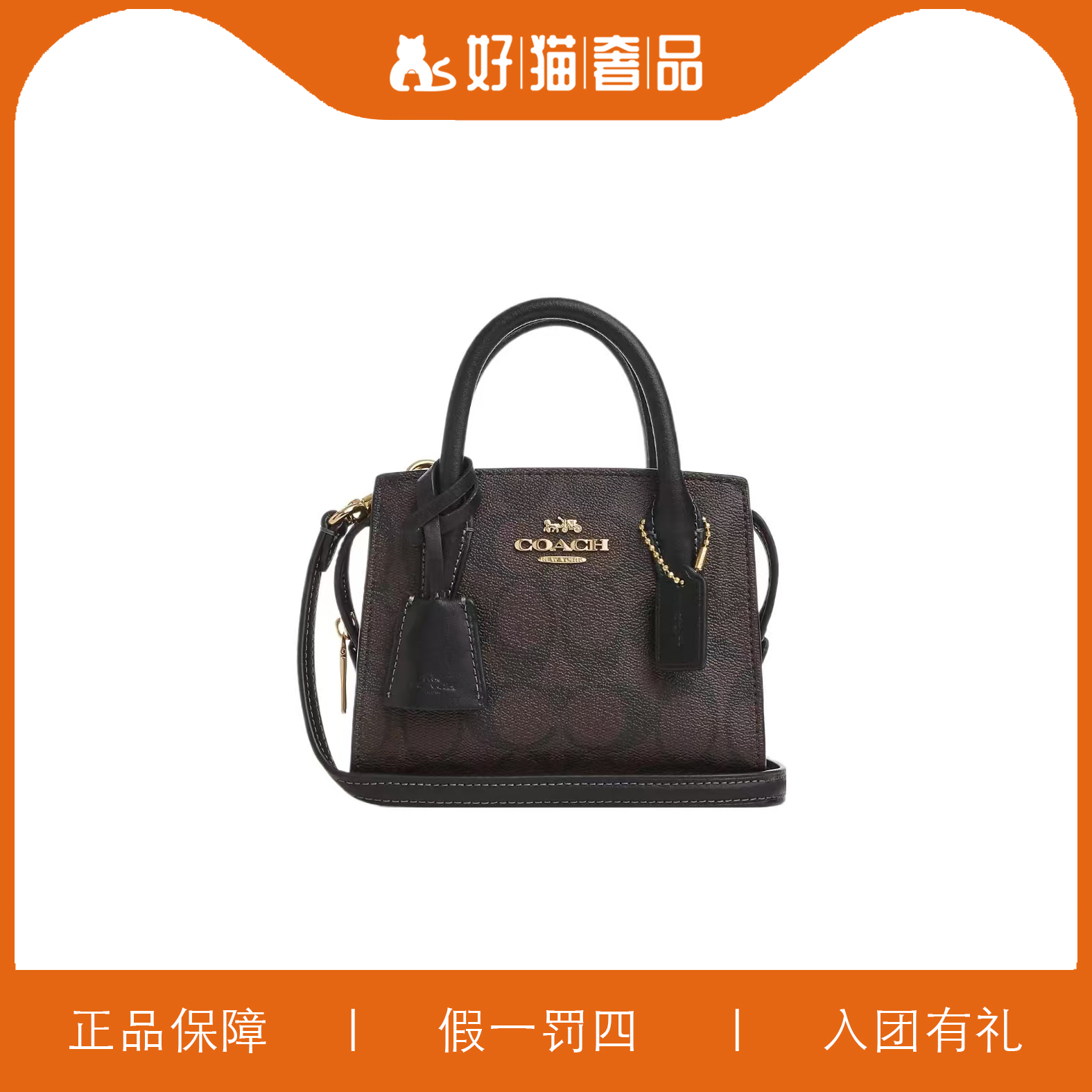 95新 COACH/蔻驰 蔻驰深棕色小戴妃包/F1099/15X11X8