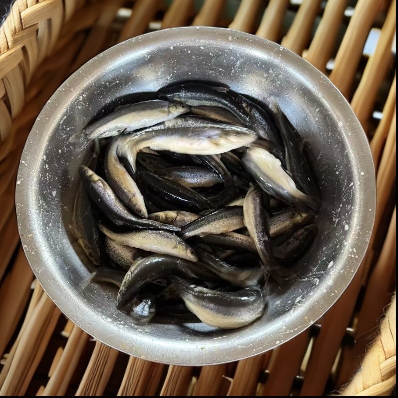 1d东北冷水柳根鱼6斤