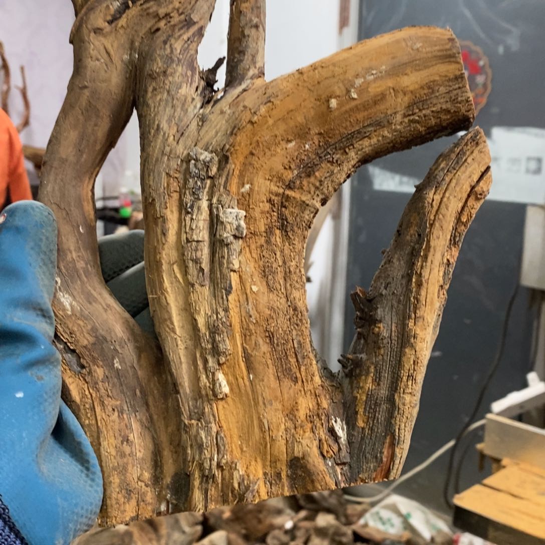 柏木墨**子我们都是好孩子