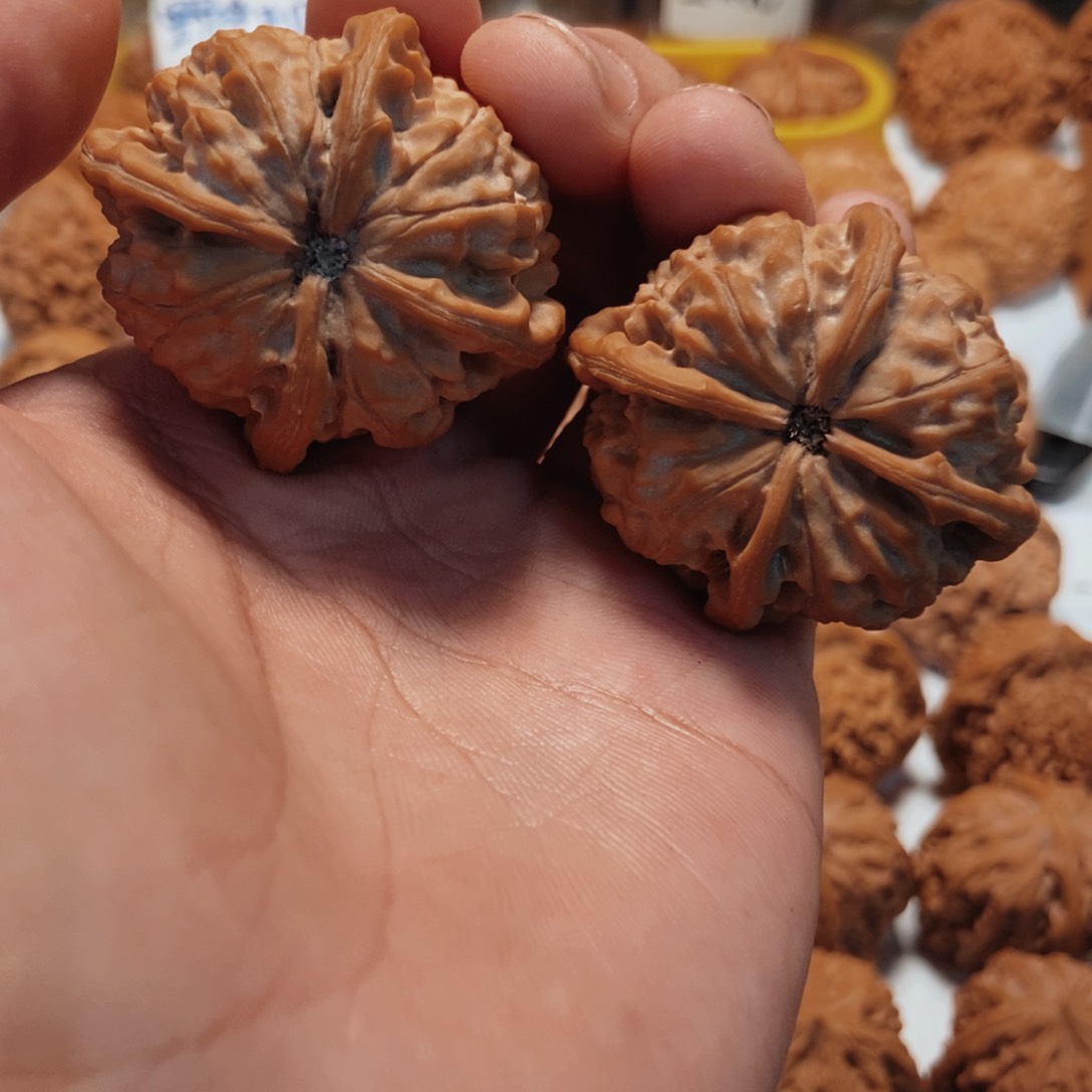 文玩核桃吊坠g***c玉玺四