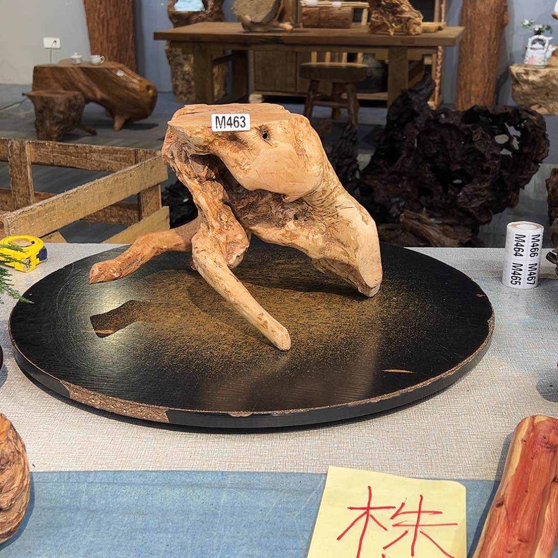 木白*463gggggggggggggg