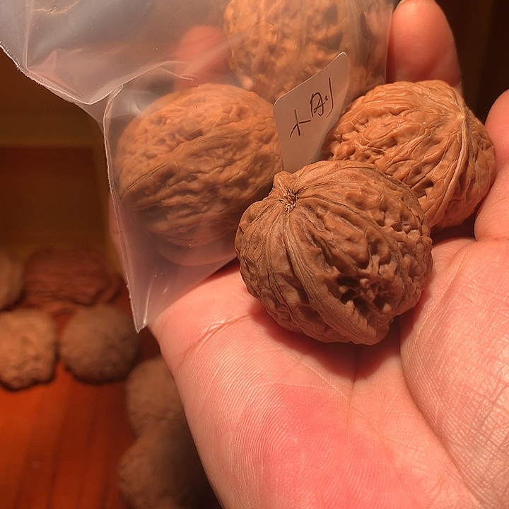 小***刚文玩核桃吊坠核桃无运费险