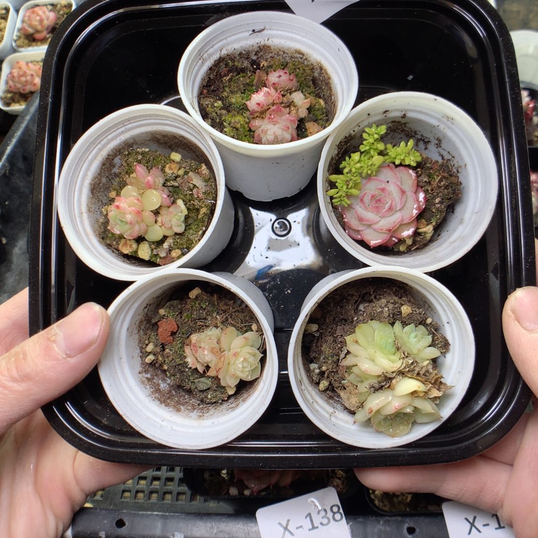 X140y y y y y y y y y y