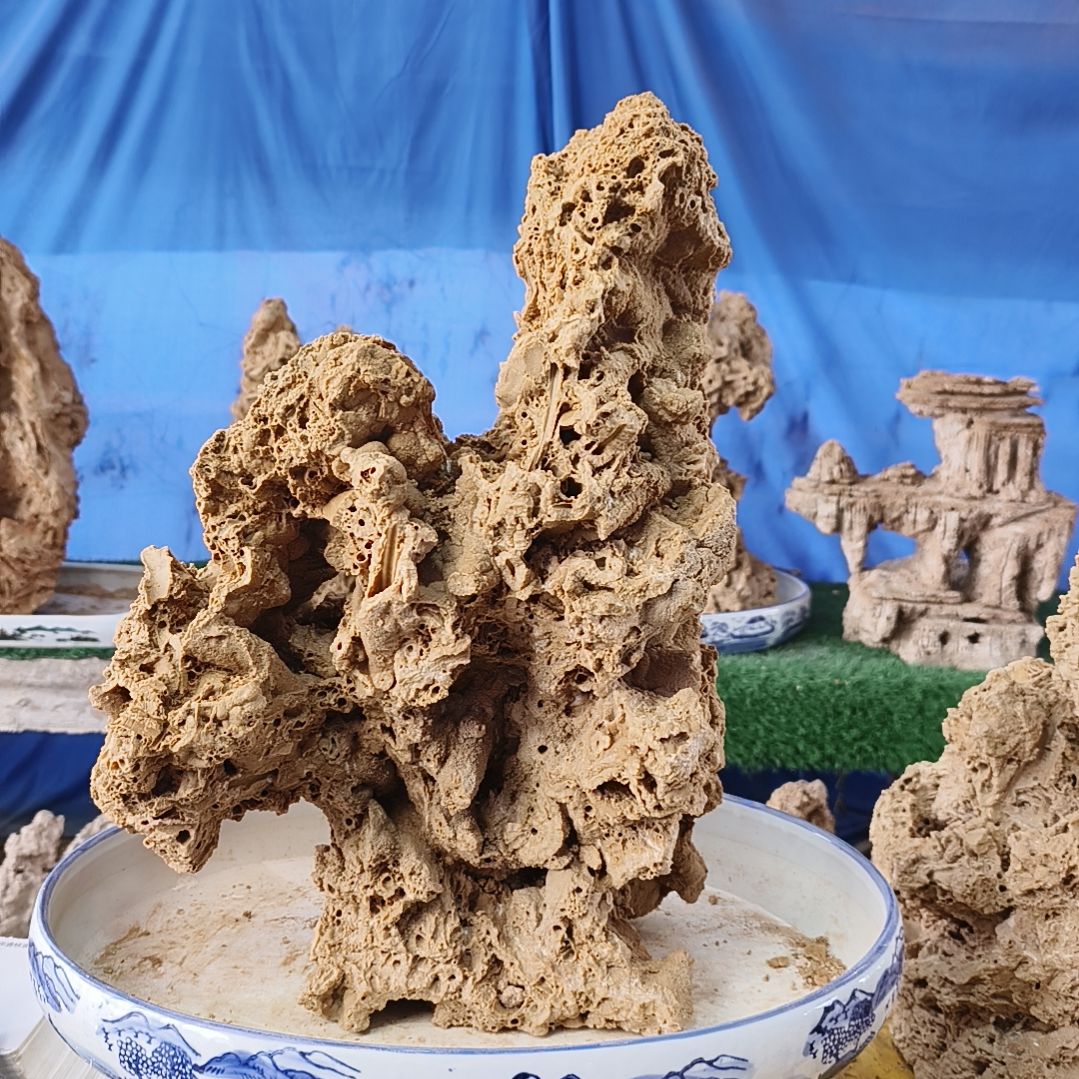 【闪购商品】红陶东**败0206-1东方