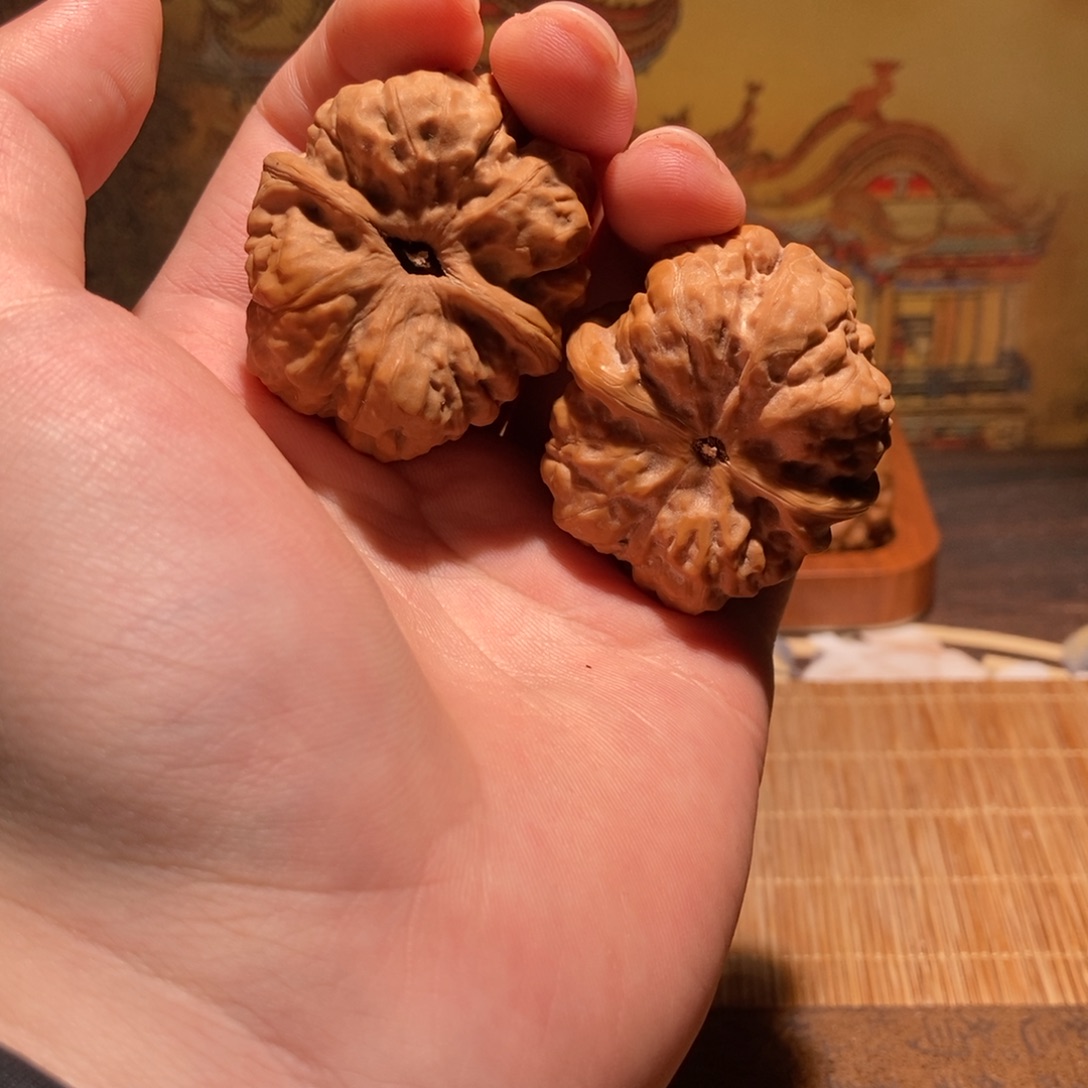 世***料大叶紫檀（黑酸枝木类）蛤蟆头D02