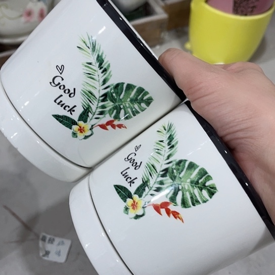 多肉绿植陶瓷花盆9.9包邮，有孔