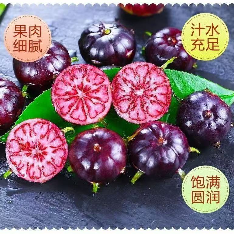 【顺丰冷链到家】云南高山蜘蛛果特色水果露天花青素水果产地直发
