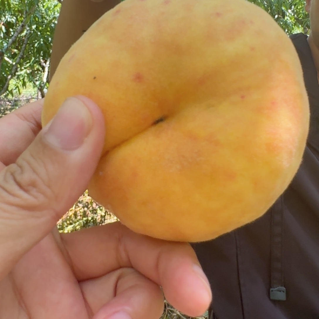 辣椒中国大陆潘桃5斤