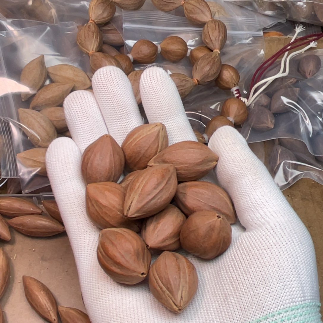 嘉***隆橄榄核手串/手链1