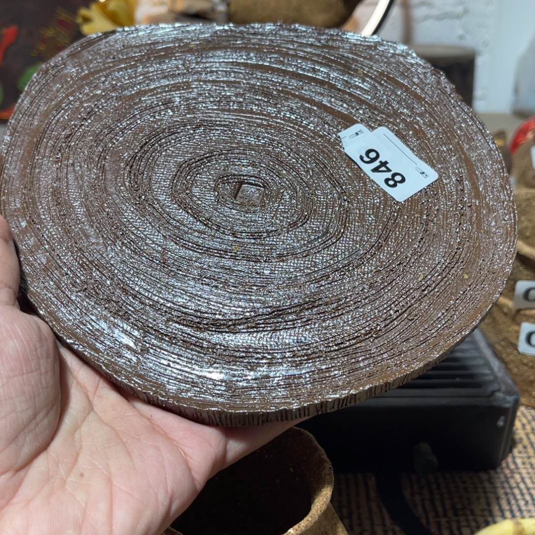 木村信弘柴烧保平