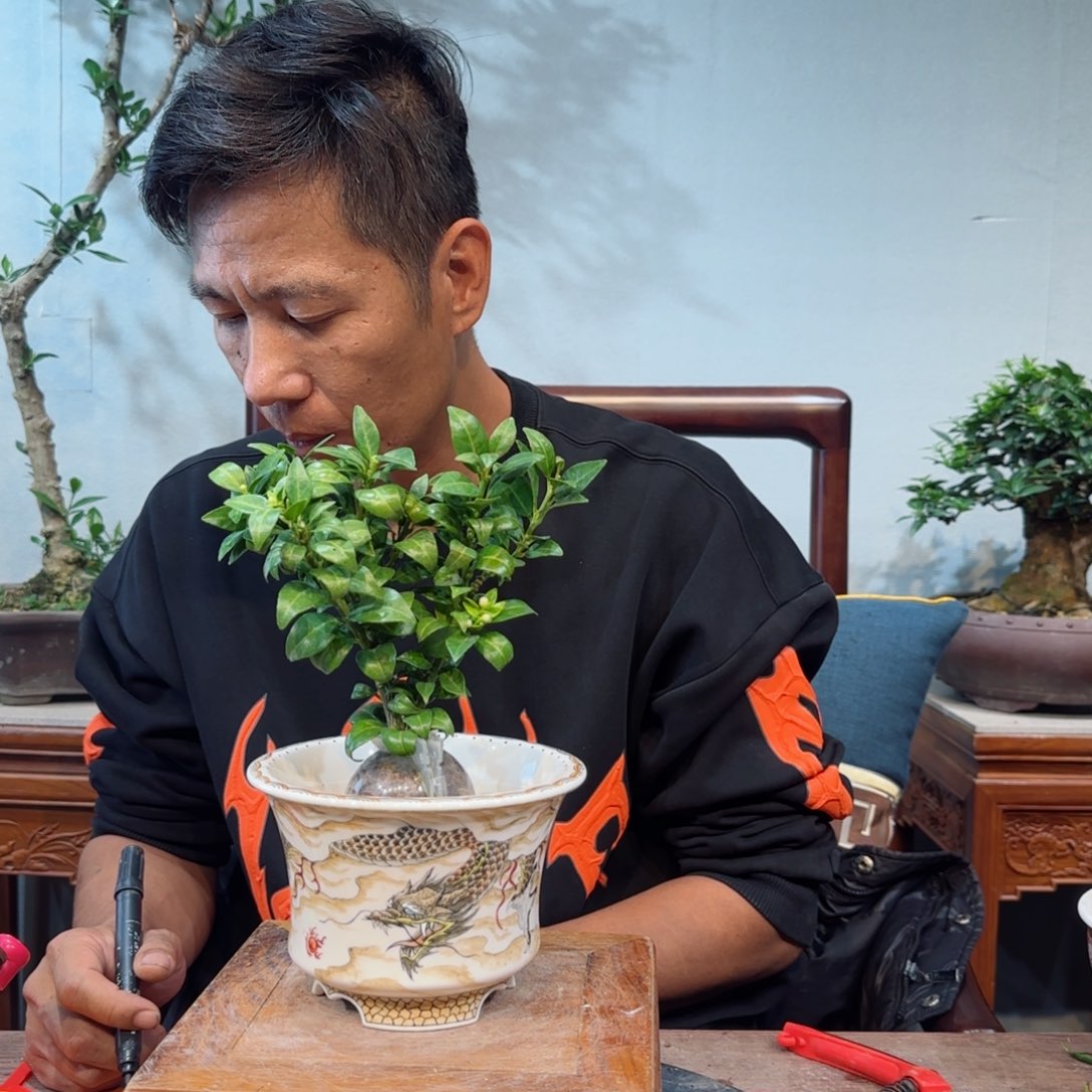 少量花朵（建议范围：2朵-5朵 或40%以下）Z***w