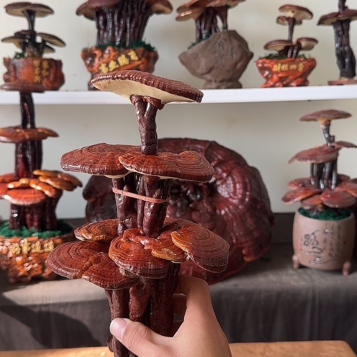 w***y无花朵88888888888