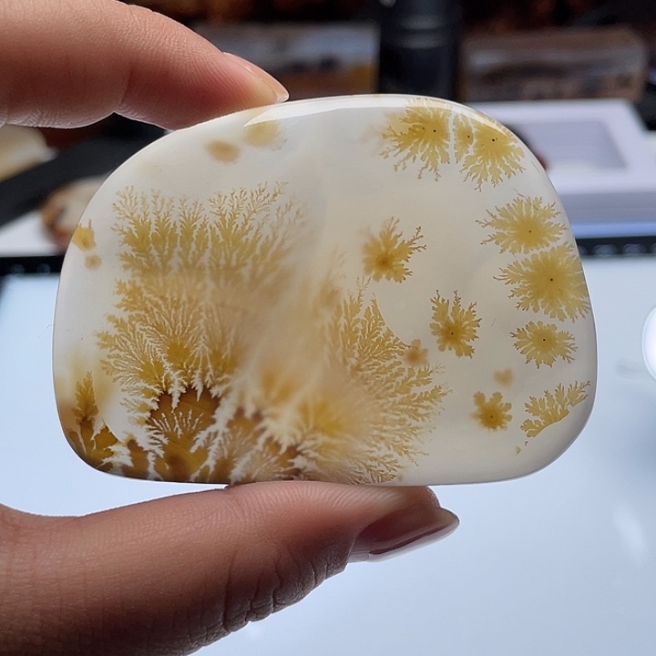 玛瑙/玉髓吊坠(不含链)未镶嵌如*