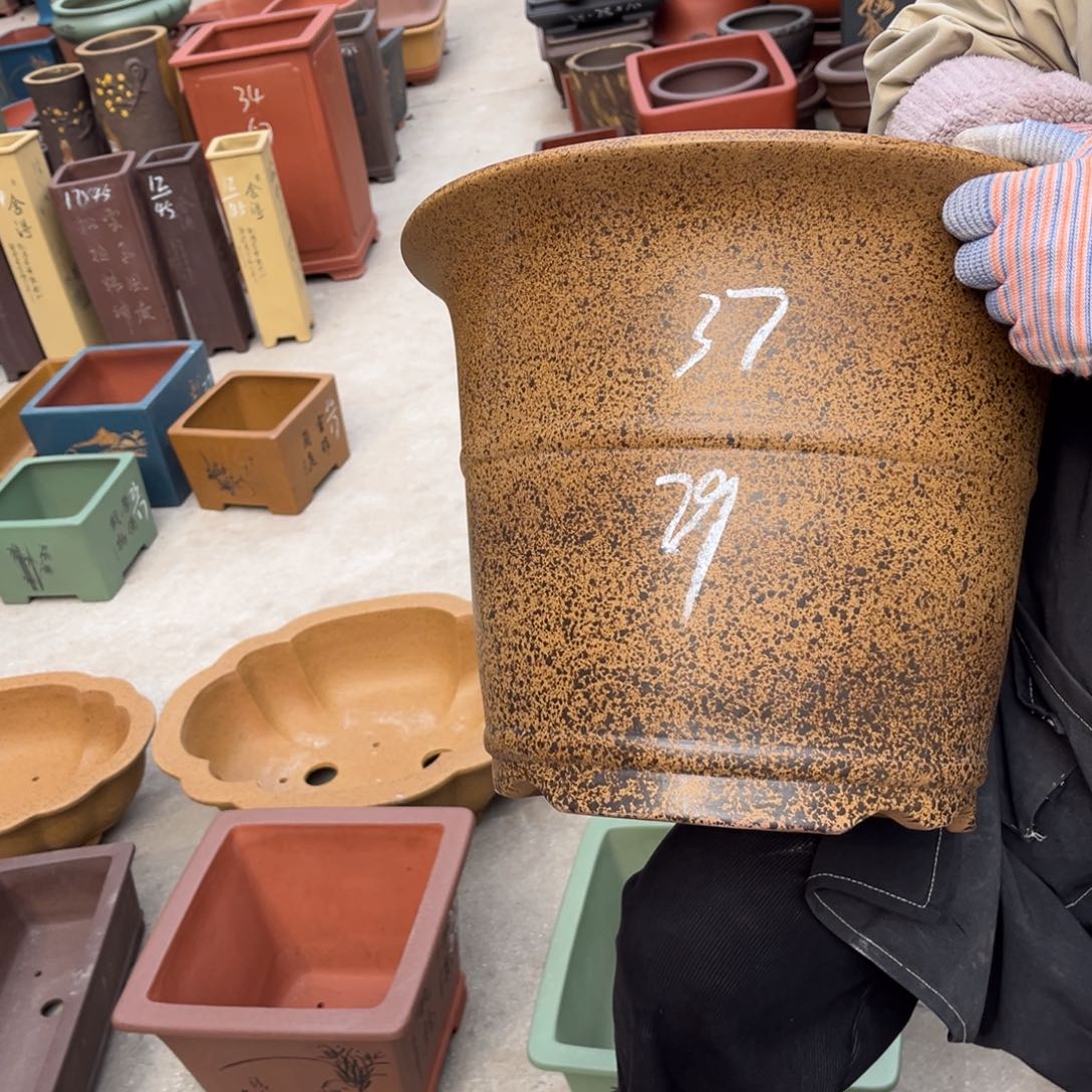 紫砂花盆盆景艺术