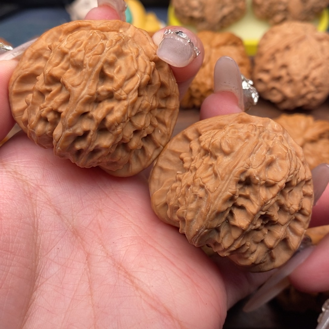 文玩核桃把件全品，延庆无药三角白狮子43，大克重50