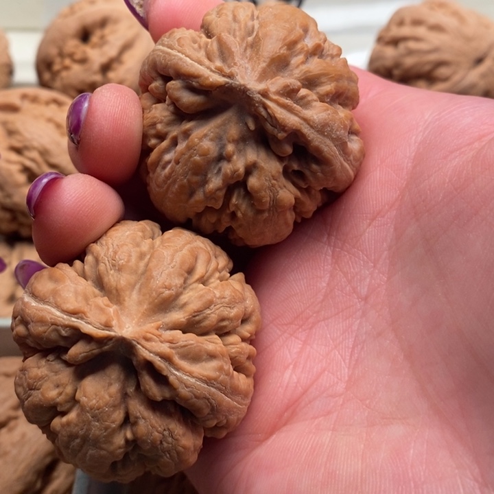 爱***y手串文玩核桃霸王龙