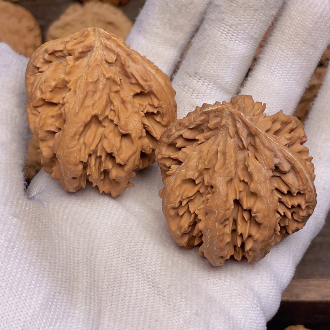 文玩核桃吊坠23 秦岭灯笼野生小众