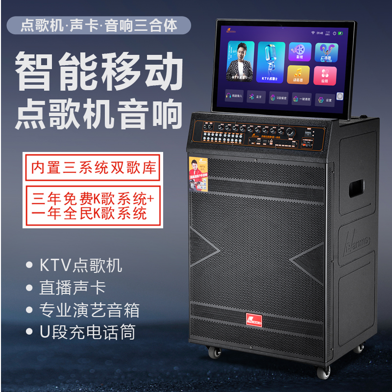 Danms/丹唛仕户外大功率重低音网红OTG蓝牙直播家庭聚会KTV音响