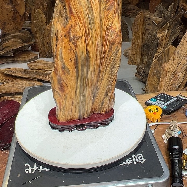 松木（琥珀木）星*