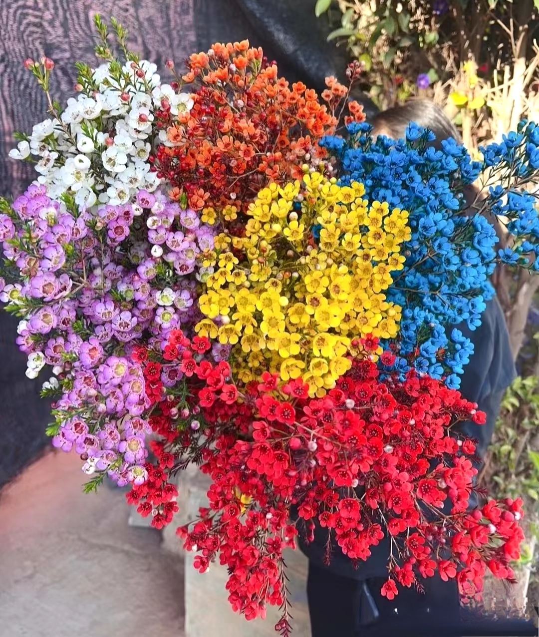 白腊梅（家居瓶插花）