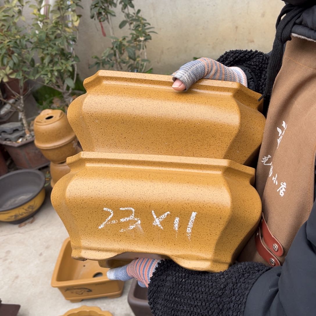 紫砂花盆盆景艺术