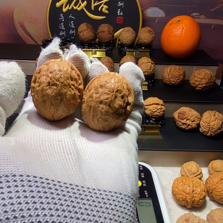 文玩核桃把件金龟玉甲36尺