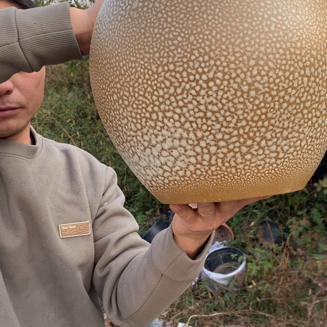 有机玻璃正品福利正品福利