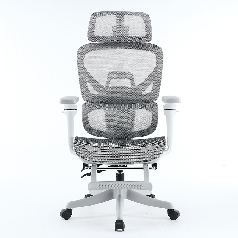 人体工学椅舒适电脑椅久坐椅子电竞椅座椅办公椅家用书房椅子909