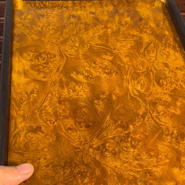 木黄金樟留疤超大托盘