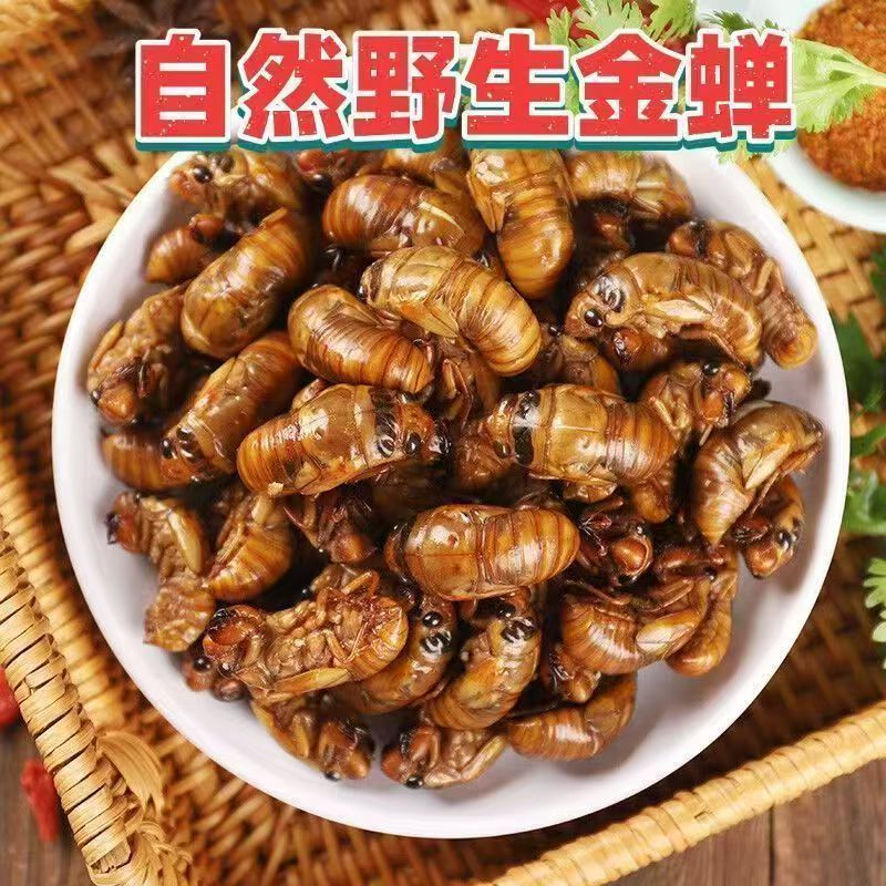 2025新货鲜知了1猴野生金1蝉趴叉猴速冻蝉蛹顺丰包邮