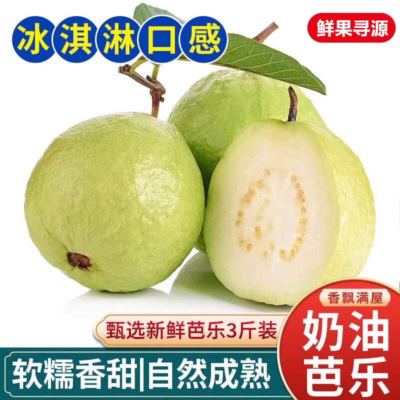 【带箱3斤】广西脆甜白心芭乐番石榴每日现摘新鲜水果一整箱发货