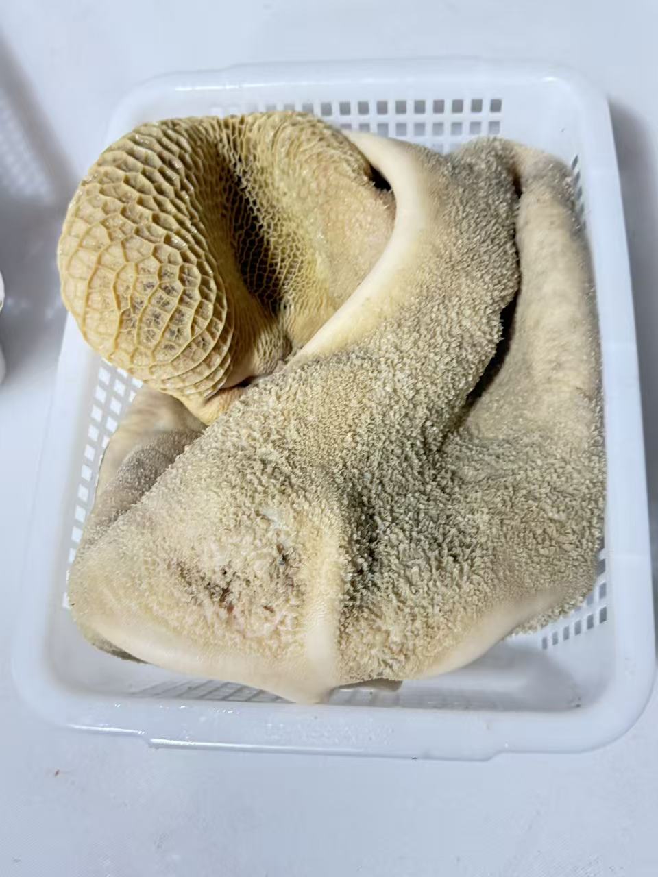 金膘土黄牛【牛肚】