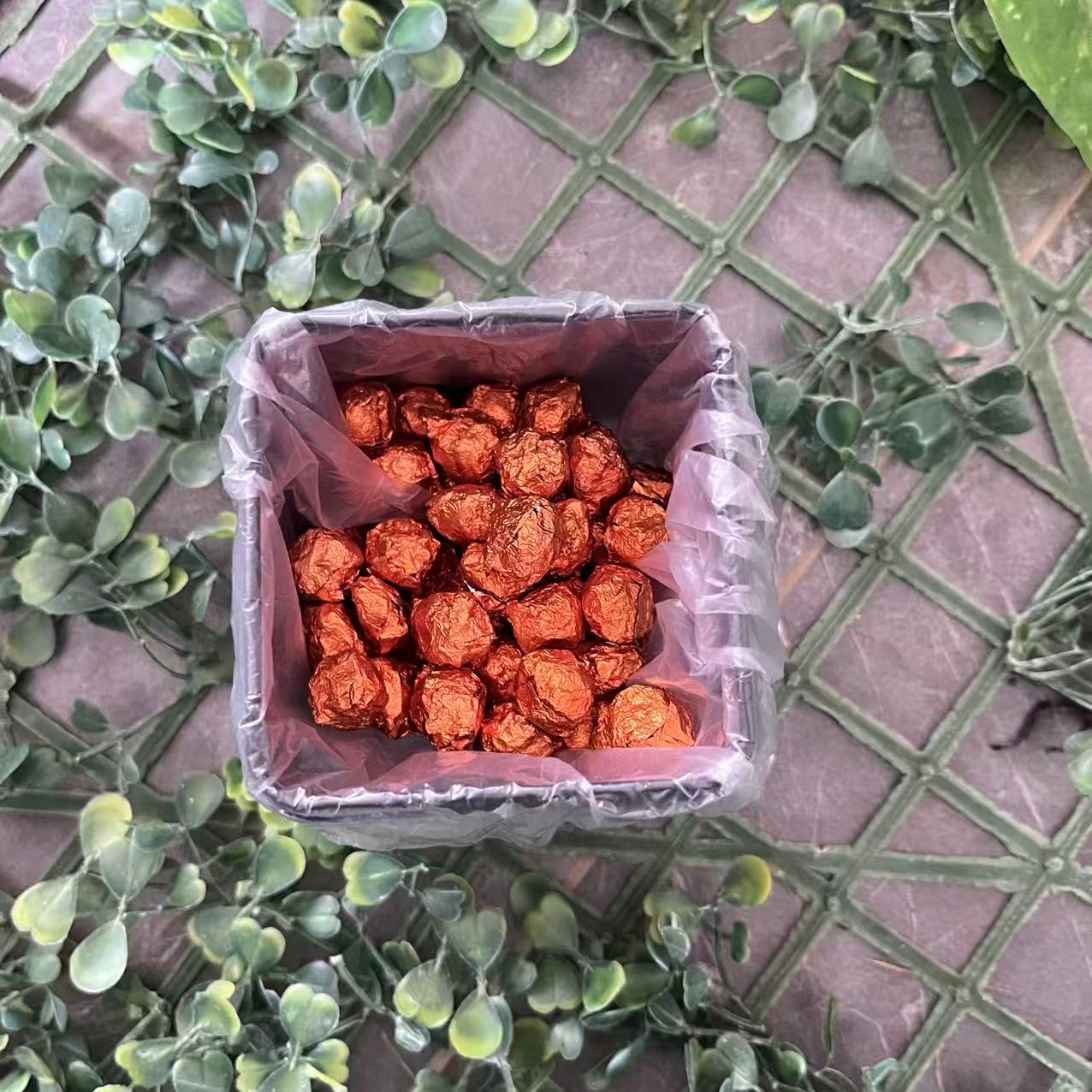 雨腾古茶  W能 YW仙C集“千金M精F”万B仙D L时S变77g/盒（12月2）