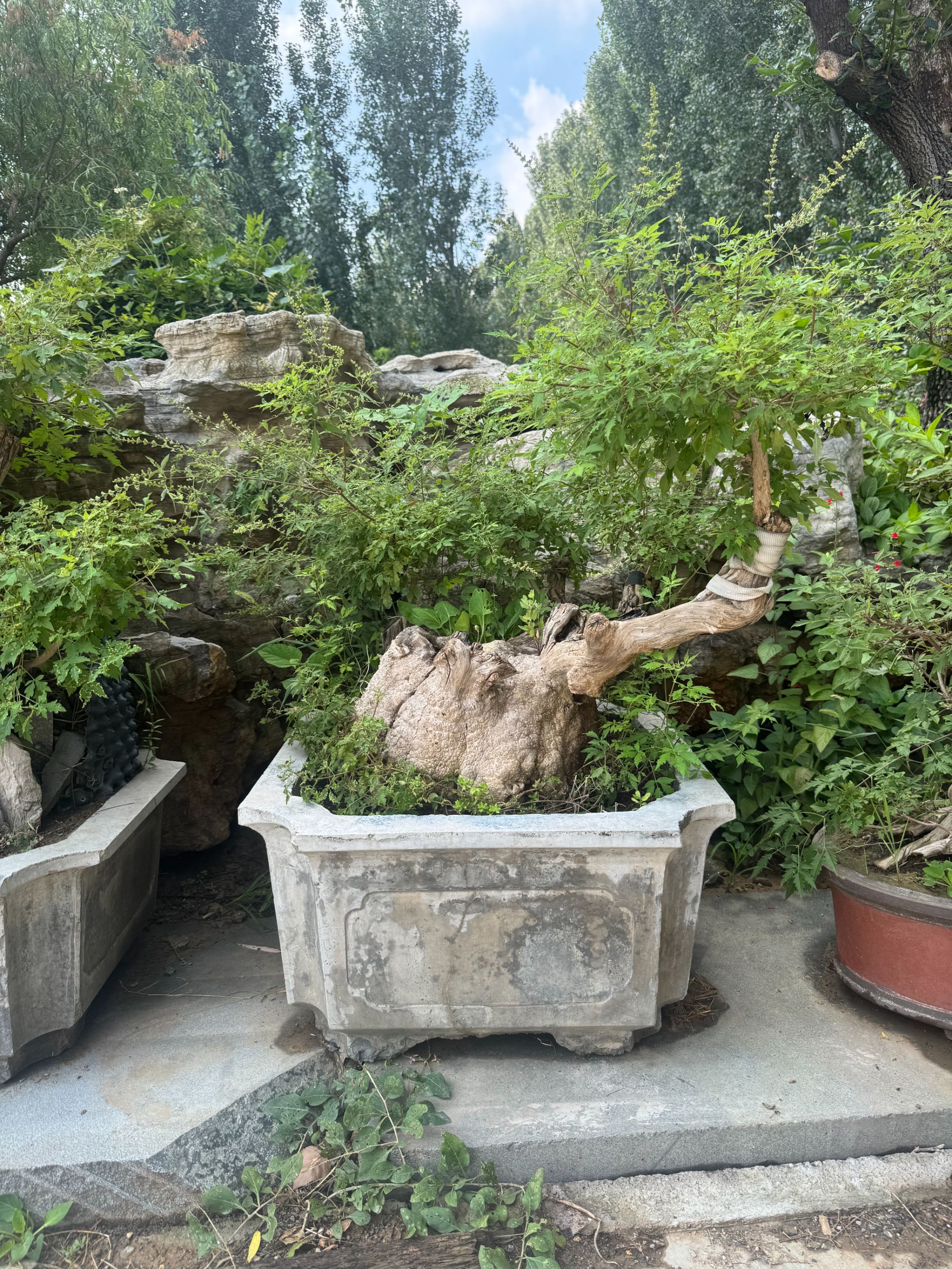 上水石景观石石槽造景用石