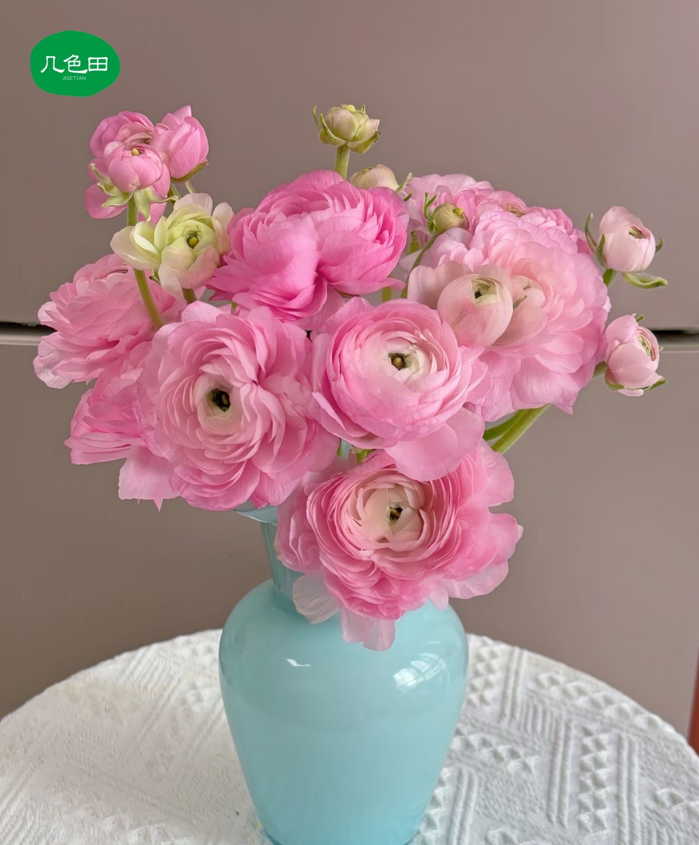 粉色洋牡丹----云南直发鲜花云南花插花鲜花 