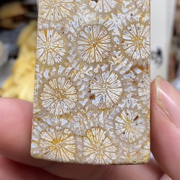 硅化珊瑚（珊瑚玉）未镶嵌颈饰