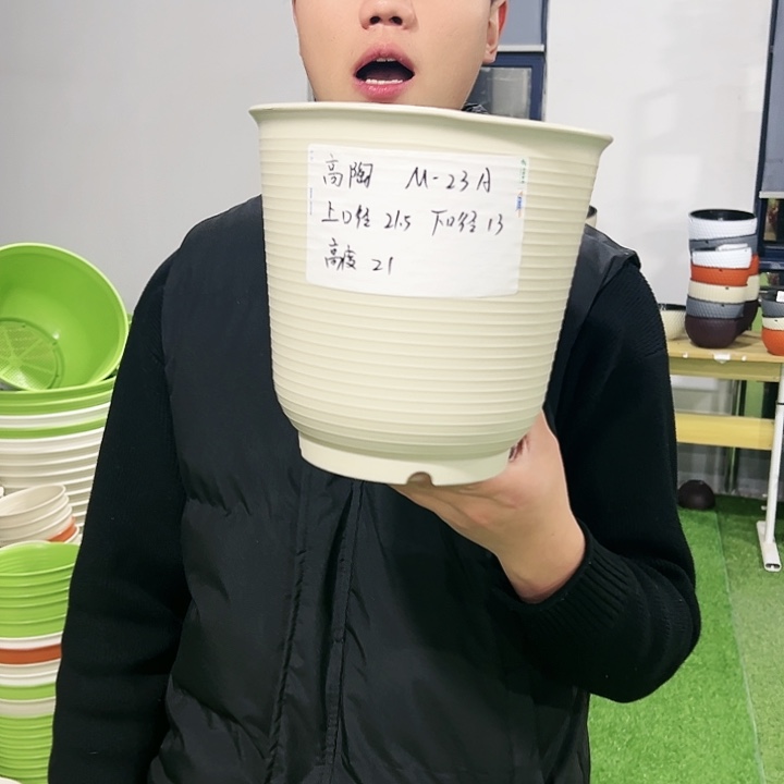 正品高陶口21高21米色6只无托