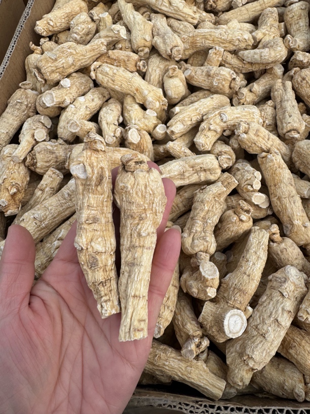 长白山西洋参支头煲汤泡水滋补佳品可切片打粉泡茶