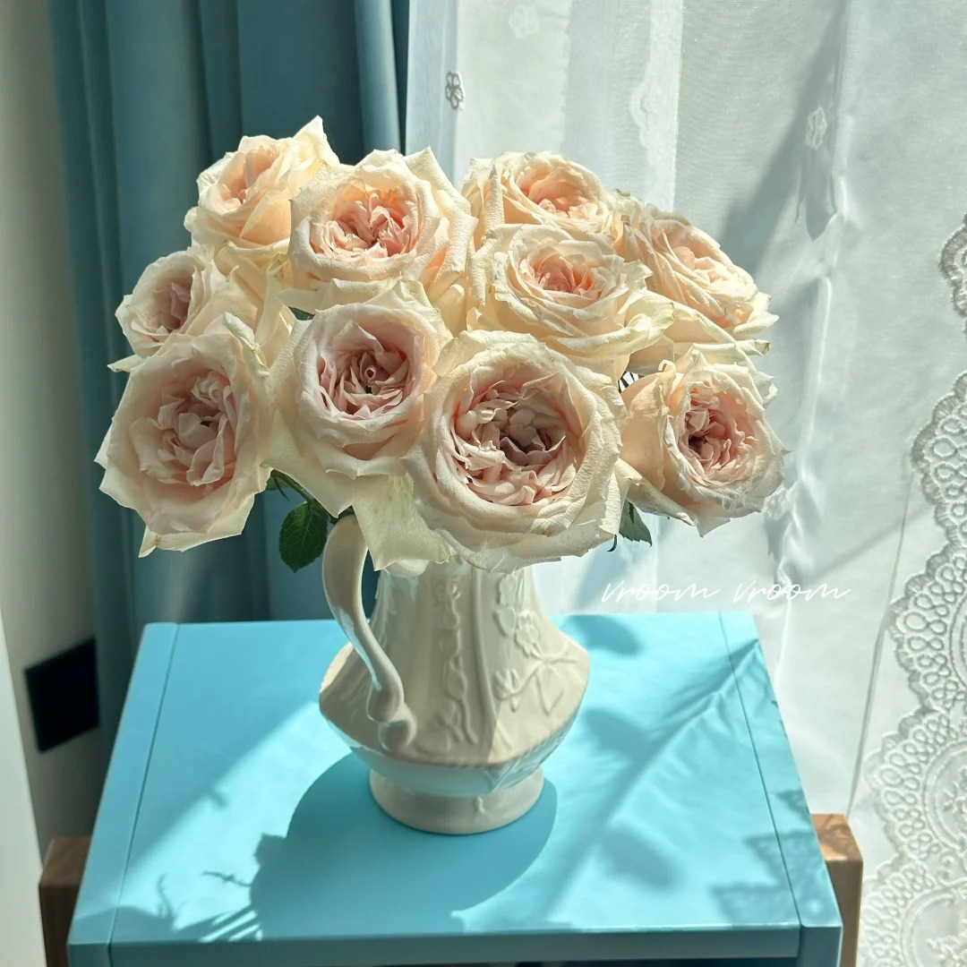 浓香巴拉，单头玫瑰，1单冷链包邮，2单升级京东或者顺丰，远的发德邦