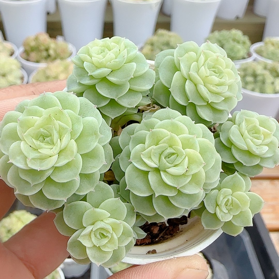 1104-154（fm-110-1）优选