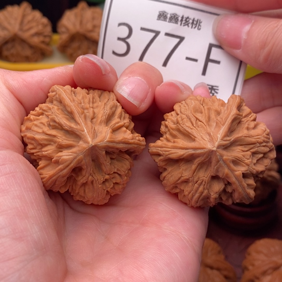 文玩核桃把件衡玉龙奔41
