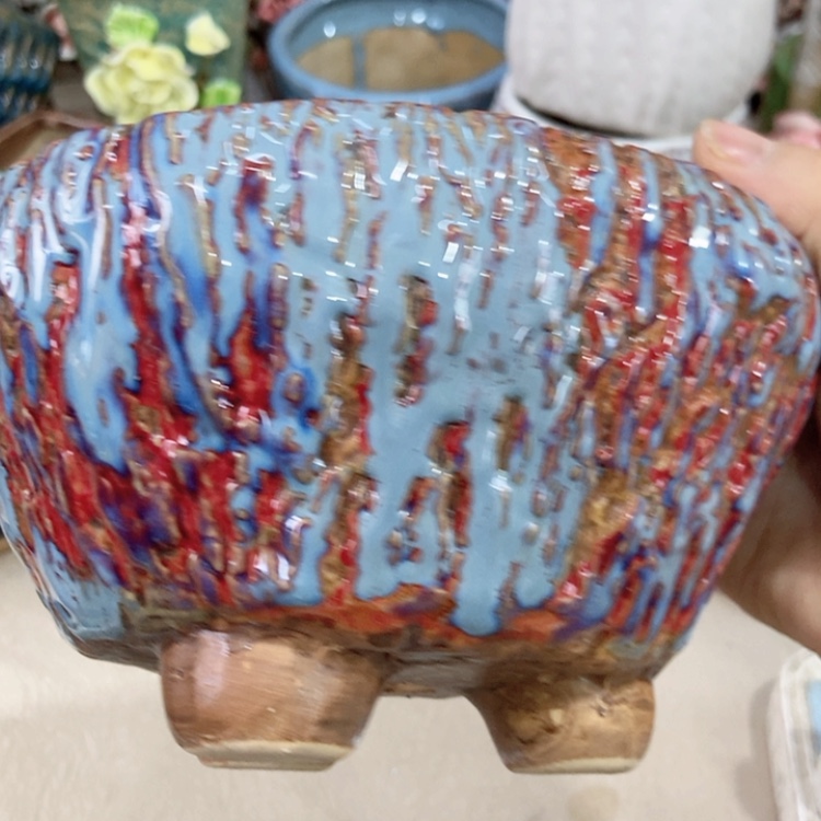 【闪购商品】红陶福利