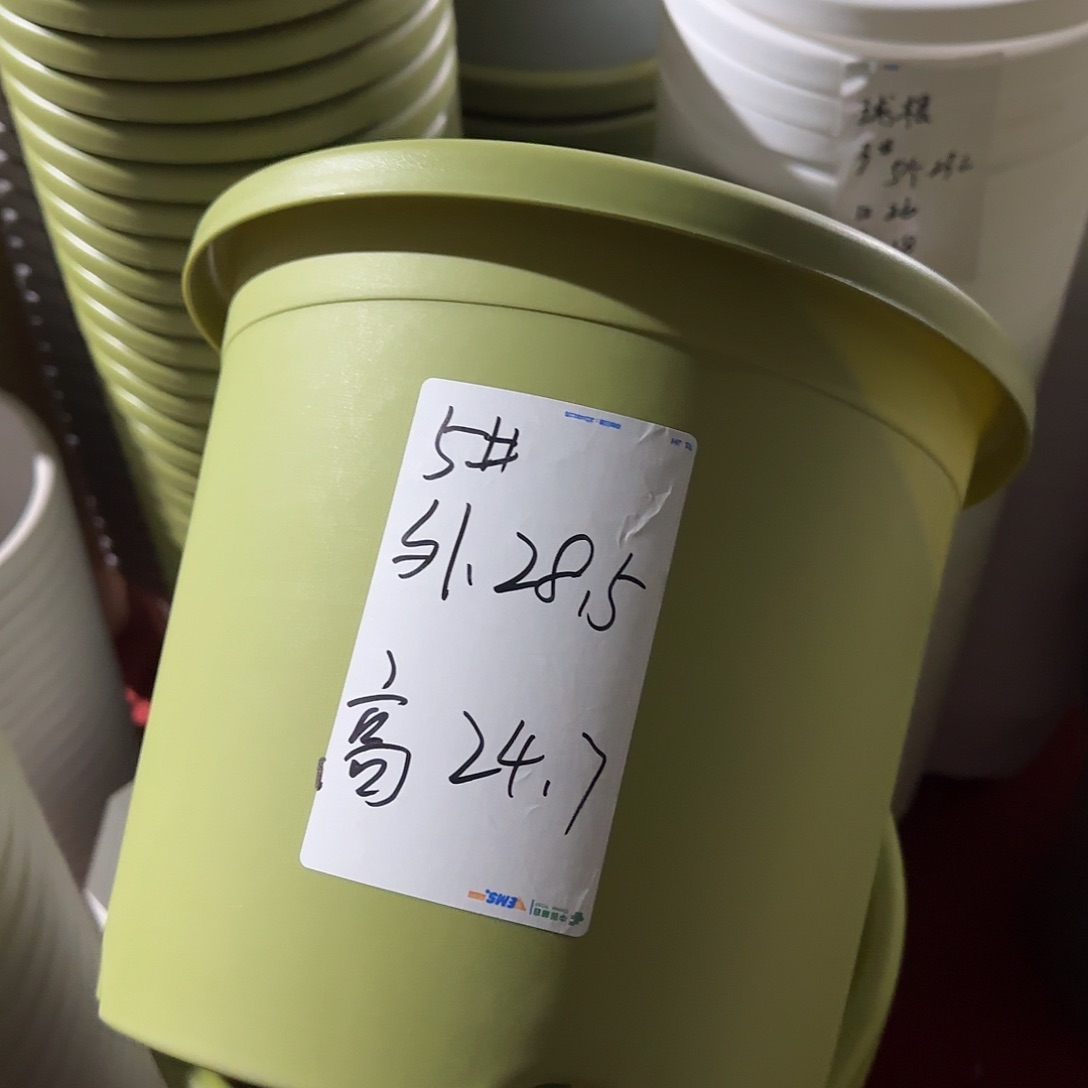 树脂四季5号无托6个果绿微瑕