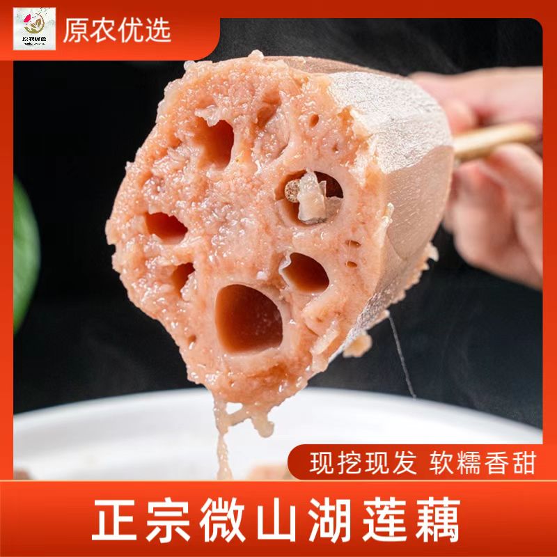 [真空包装]微山湖莲藕生态种植新鲜莲藕 现挖现发 粉藕 精品藕王