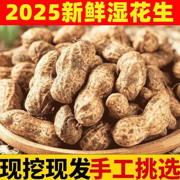 （顺丰包邮）2025农家自种新鲜花生现挖现发颗粒饱满小白沙花生