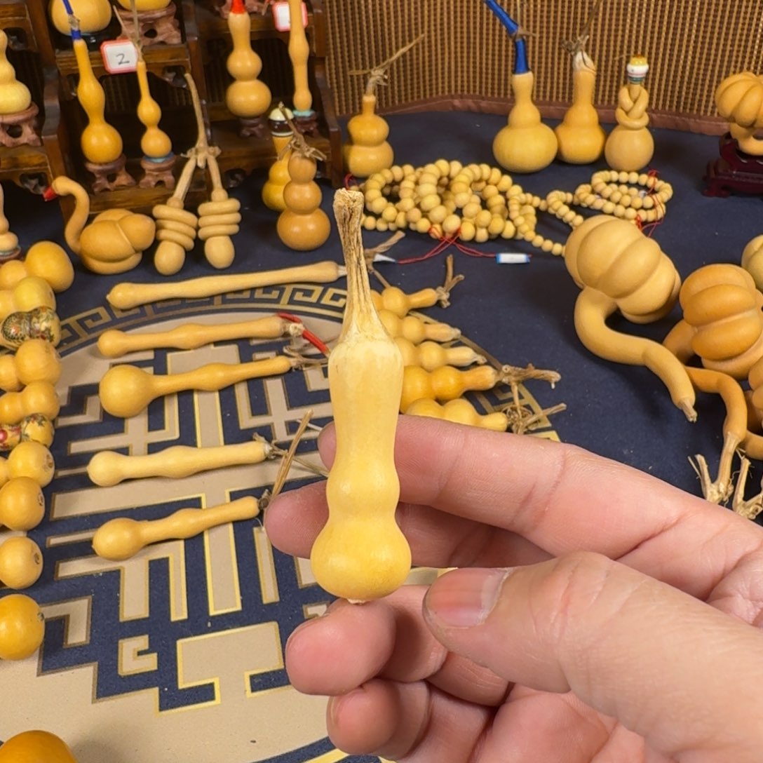 金***月葫芦葫芦葫芦葫芦葫芦