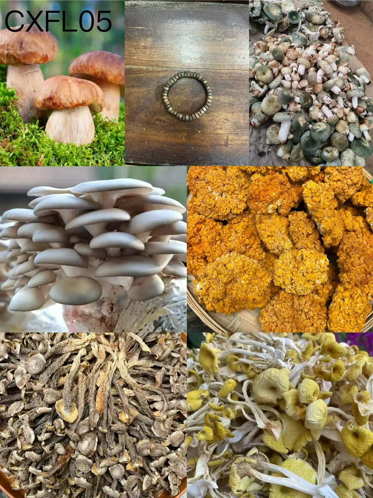 【孙哥专属土特产Cx-FL05】多样性发货 8克